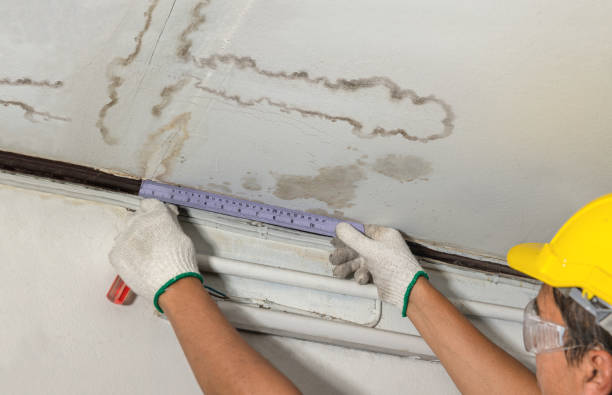 Reliable Water Damage Repair contractor in Whitakers, NC by Hirex Water Damage